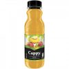 Cappy Nectar Piersici pet 0.33L/bax 12 sticle