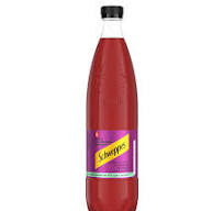 Schweppes Blueberry Mojito 1L Pet-Bax/6